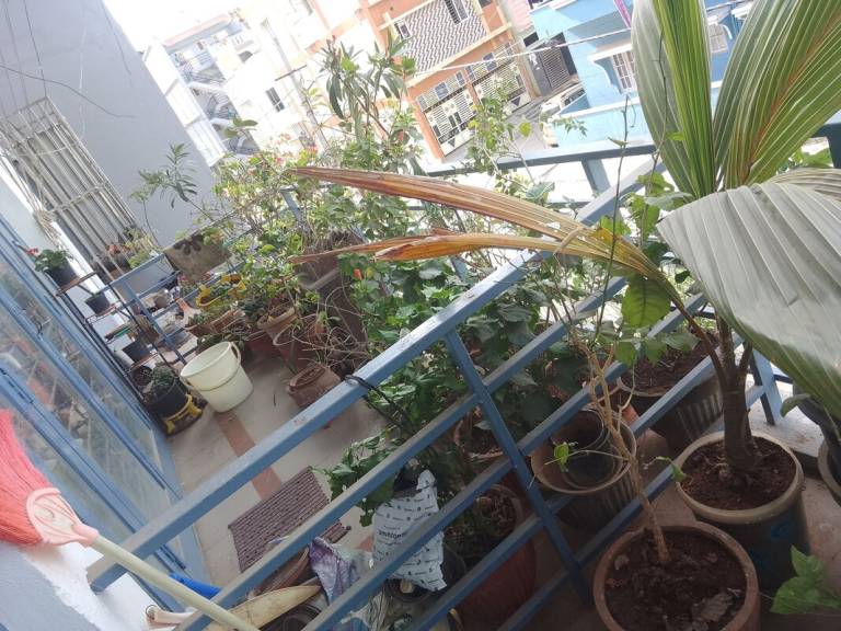 foto8