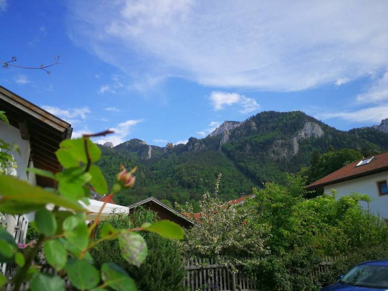 foto19