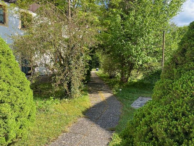 foto23