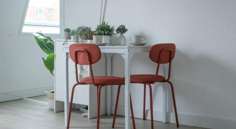 Beautiful holiday apartment | Near Lille Cathedral | Dogs allowed — photo 4
