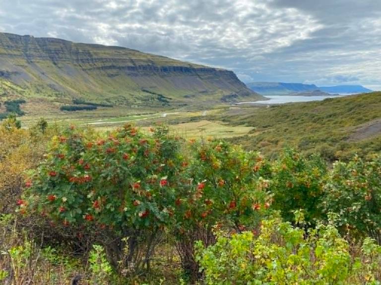 Ferienhaus Hvalfjarðarsveit