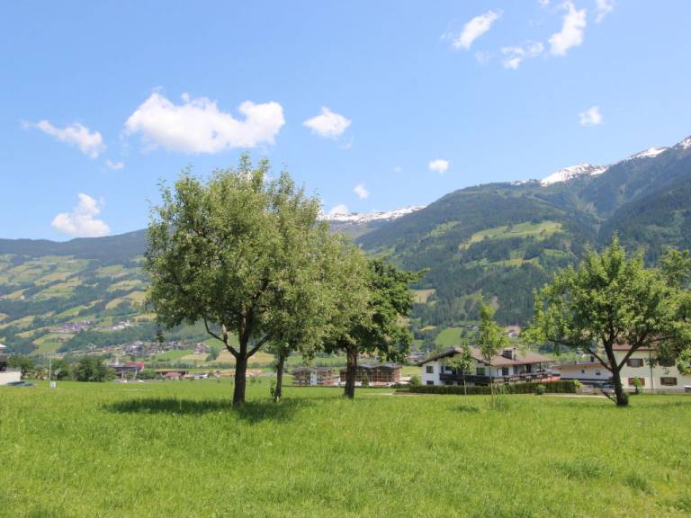foto11