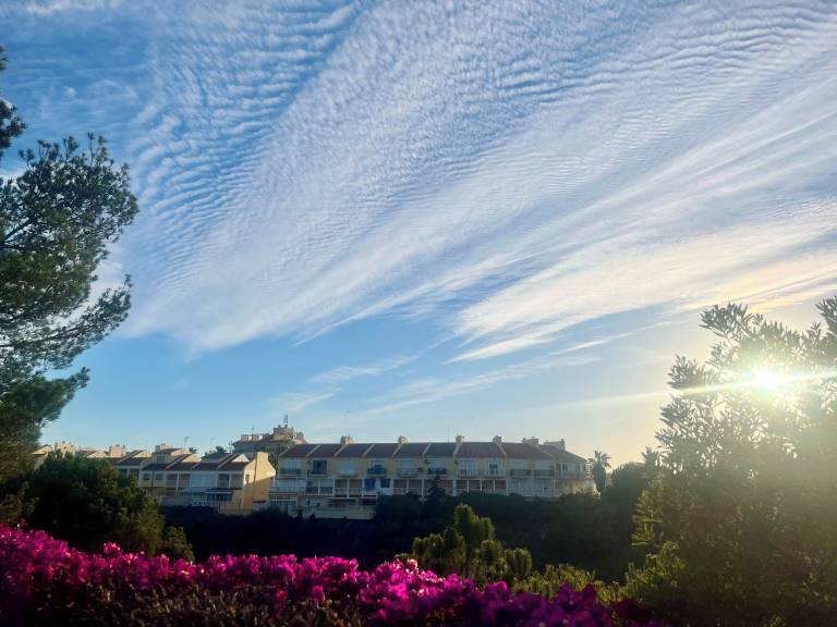 Apartment Torrevieja