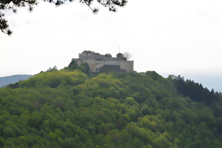 foto6