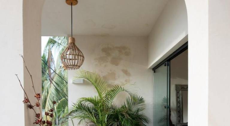 Holiday apartment with pool | Beach nearby | Pets allowed in Oaxaca