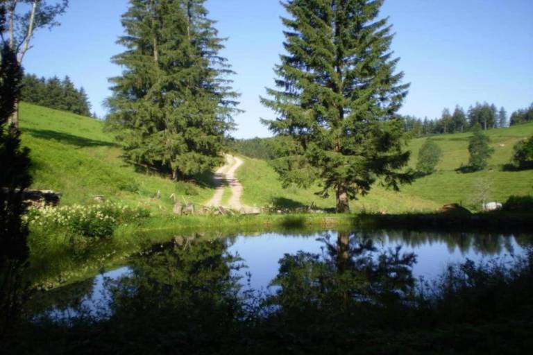 foto30