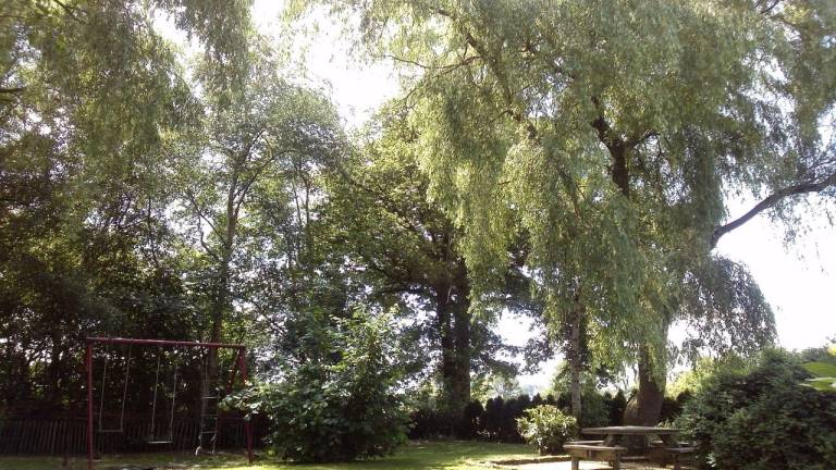 foto21