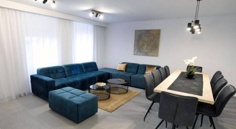 Villa with pool | Dogs allowed in Rijeka