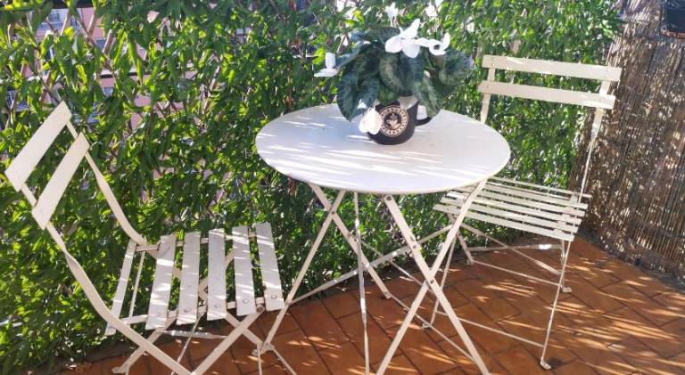 Rental apartment | Pets allowed in Segrate