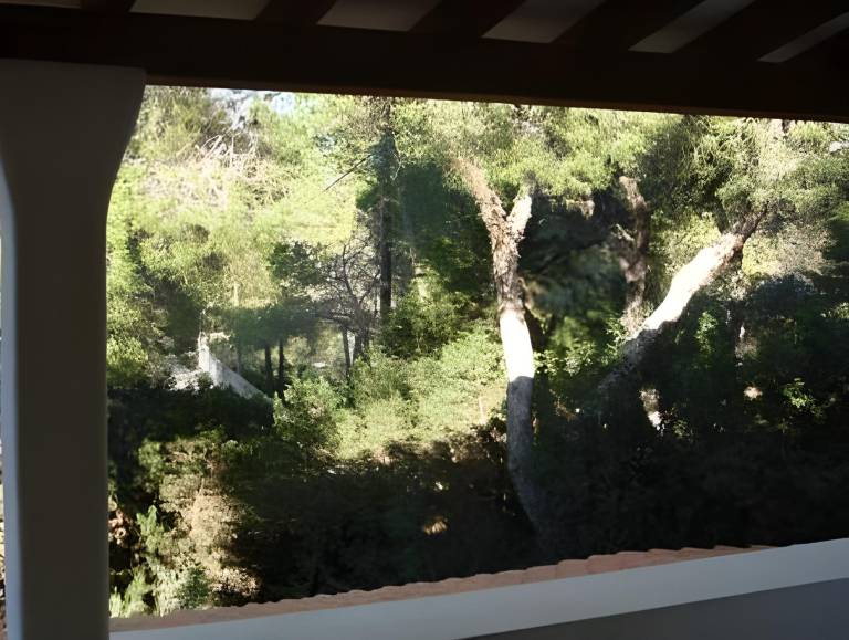 foto44
