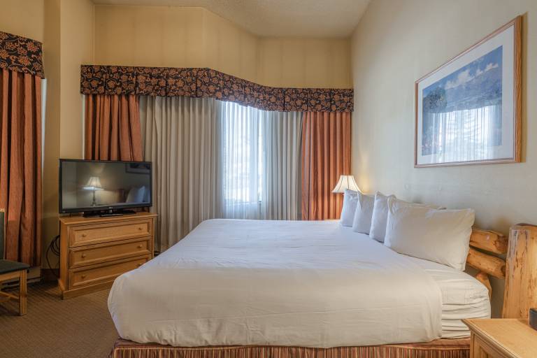 Cozy Pet-Friendly King Studio in Mt. Crested Butte in Gunnison, CO