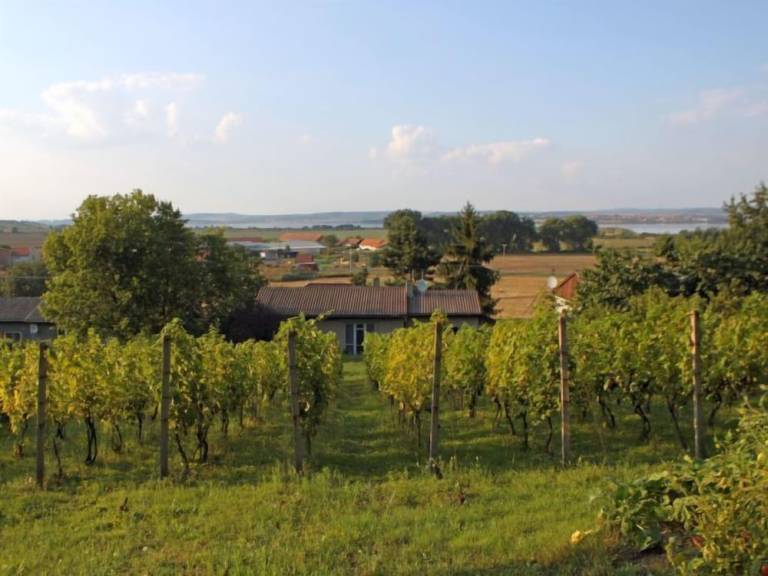 Dům  Šakvice