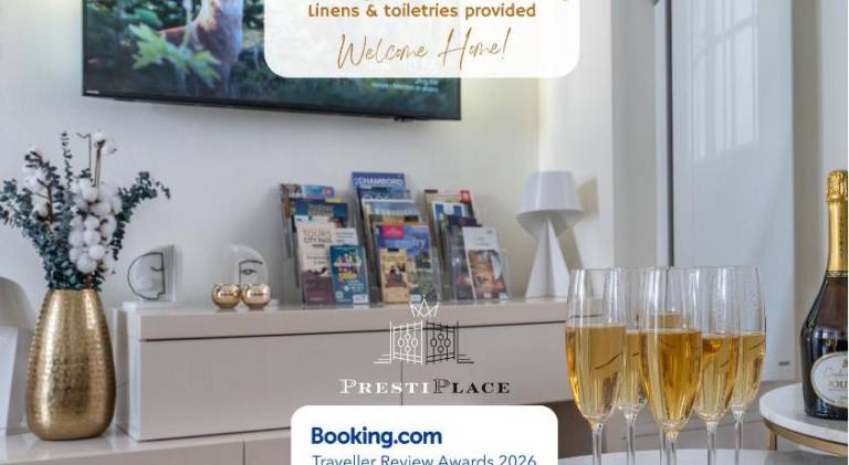 Nice rental apartment | Pet-friendly in Chinon