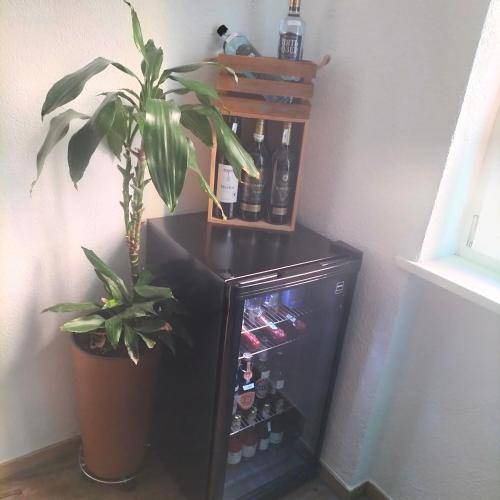 foto12
