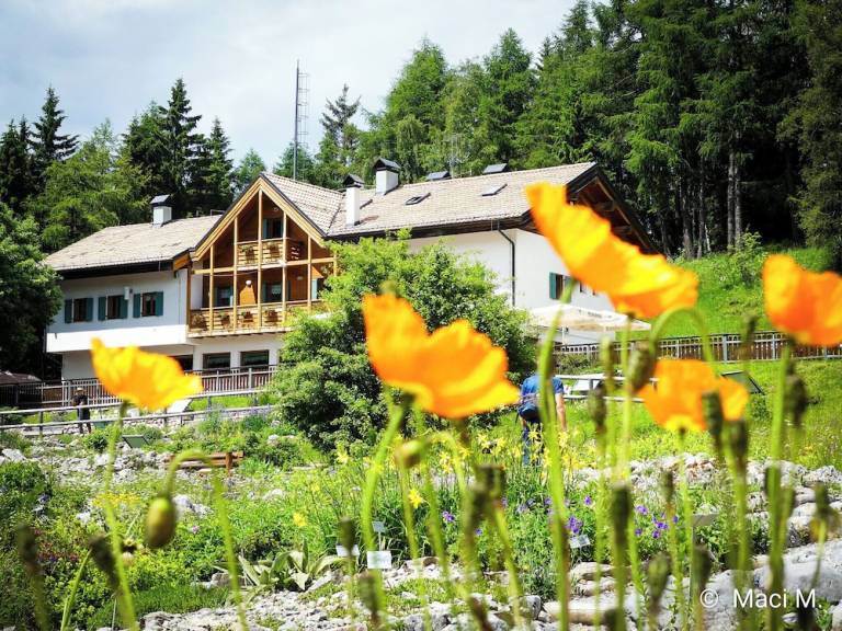 Bed and Breakfast Lasino