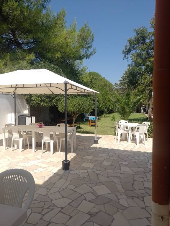 foto6