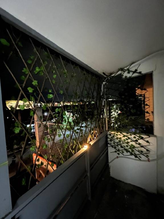 foto7