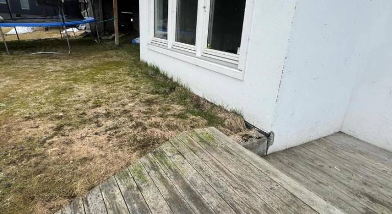 Holiday apartment | Dogs allowed — photo 2