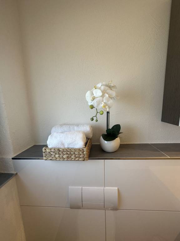 foto6