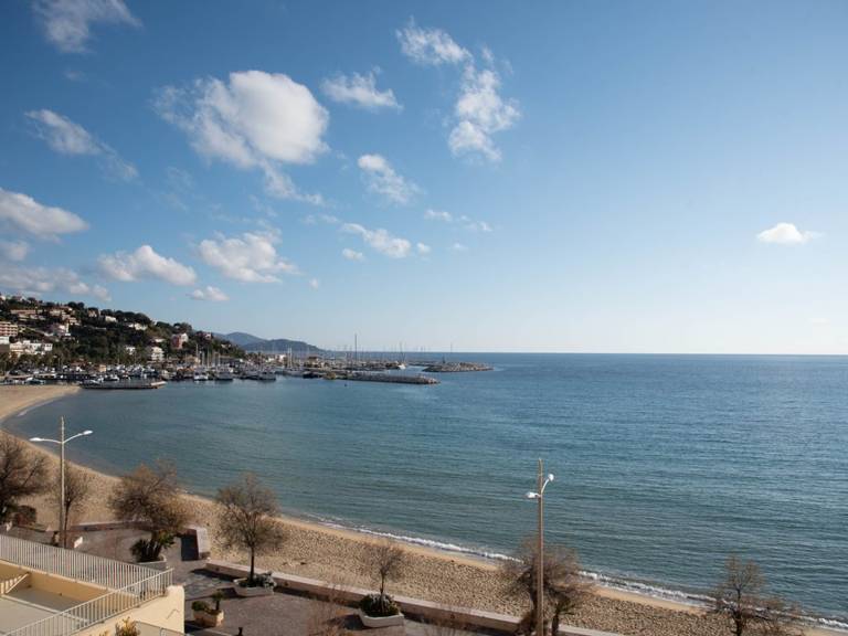 Studio  Le Lavandou