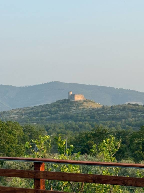 foto9