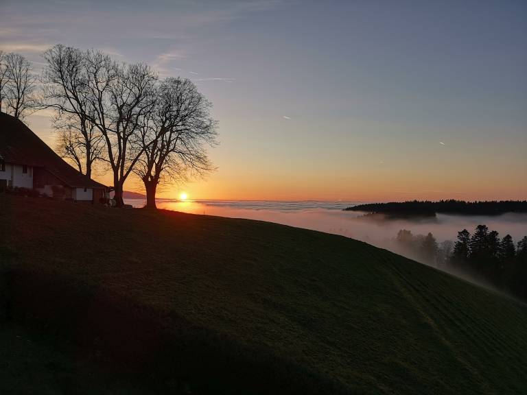foto17