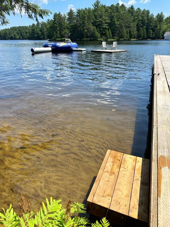 Cabin Bracebridge