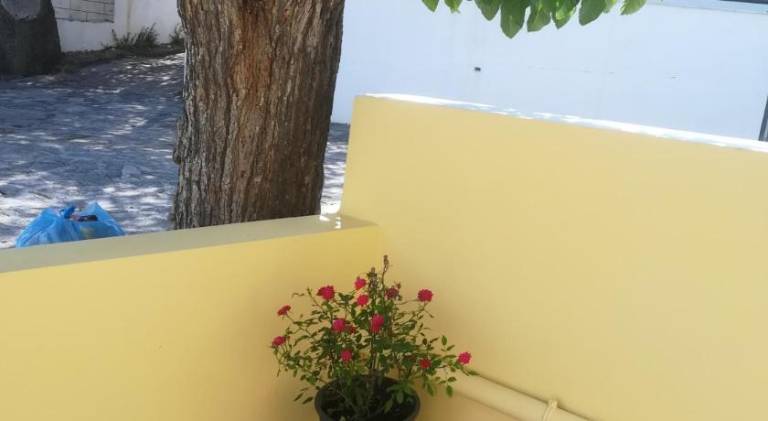 foto19