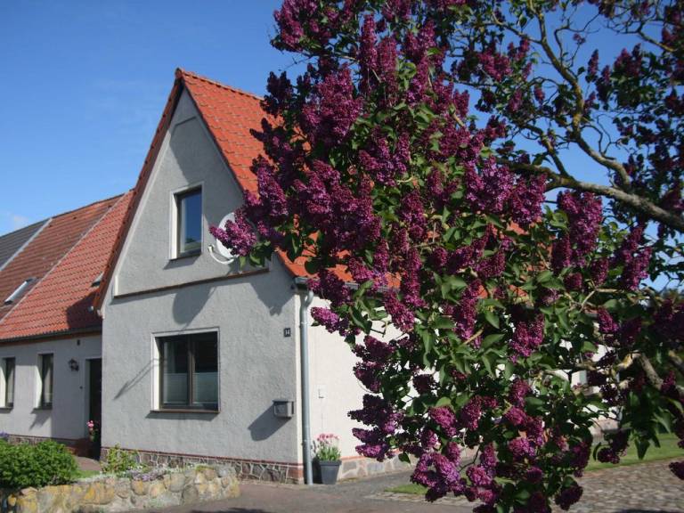 foto20