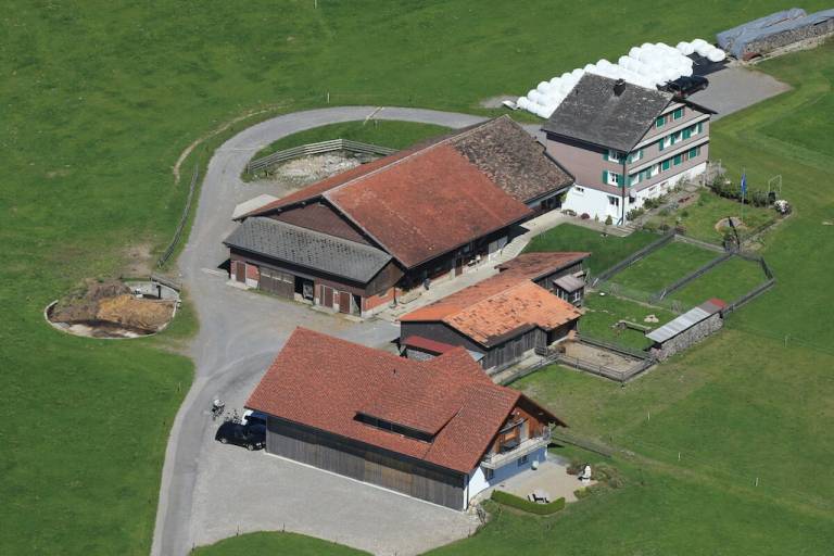 foto4