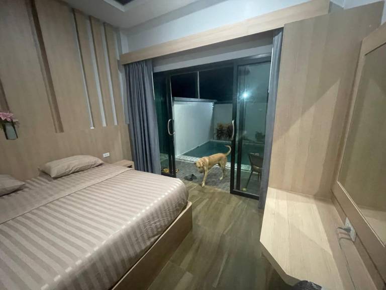Lovely rental apartment | Pets are welcome in Krabi