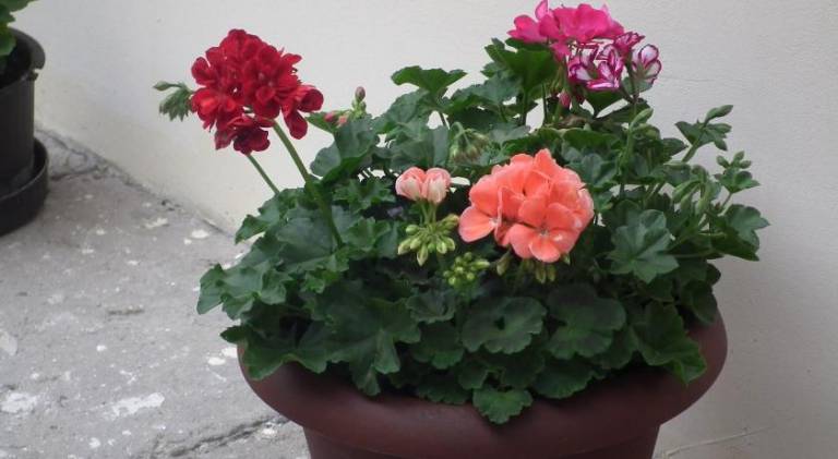 foto15
