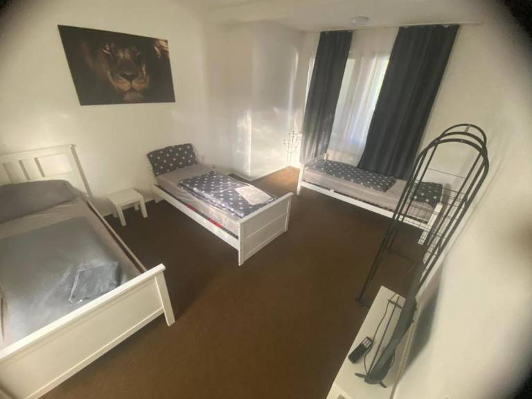 foto1