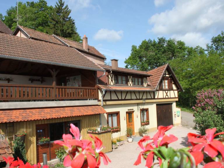 foto3