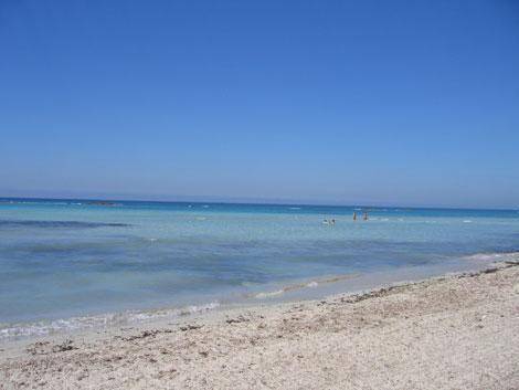 foto4