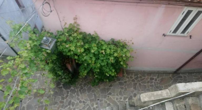 foto20