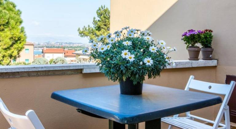 Lovely rental apartment with garden, terrace & pool | Pet-friendly — photo 4