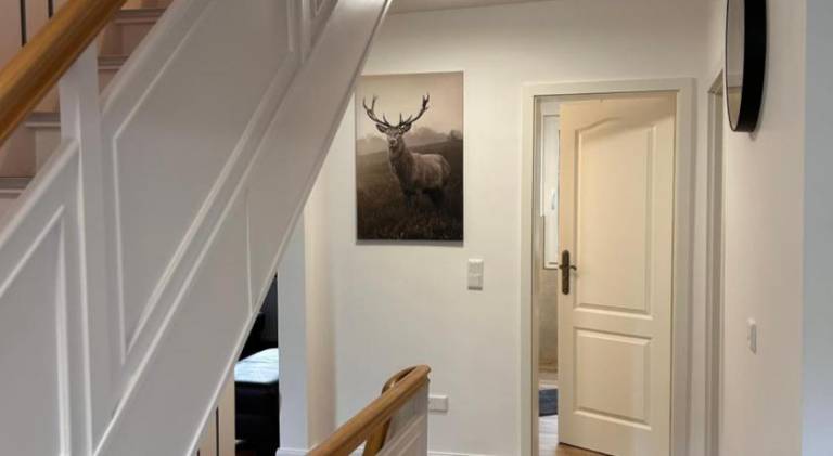 Apartment | Dogs allowed — photo 4