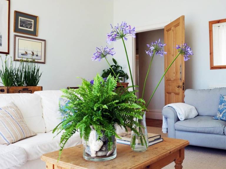 Fully equipped holiday apartment | Water view | Pets are welcome — photo 5