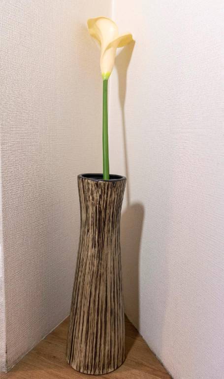 foto42