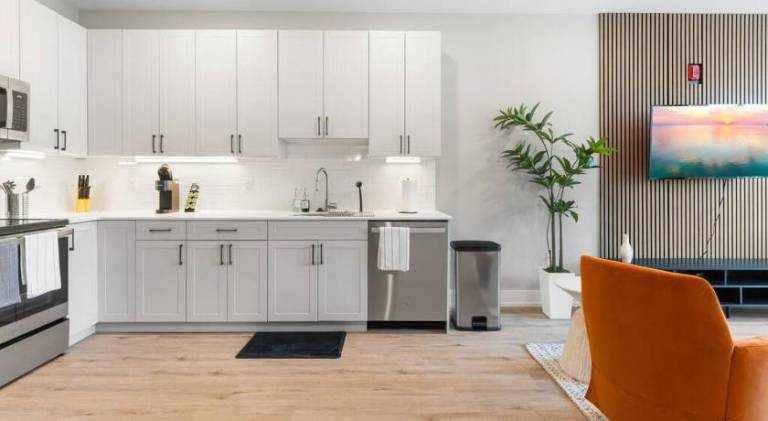 Nice rental apartment | Pets allowed — photo 3