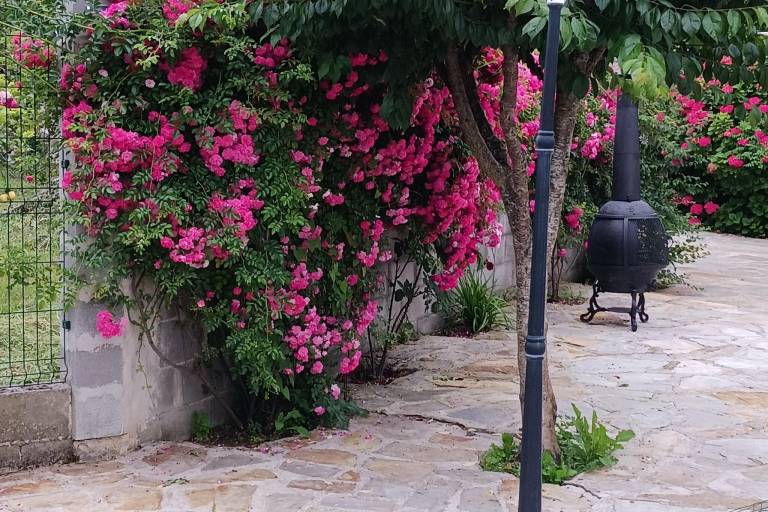 foto24