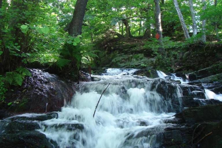 foto16