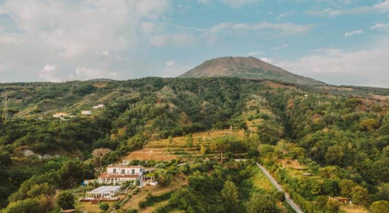 Farm | Pets allowed in Pompei