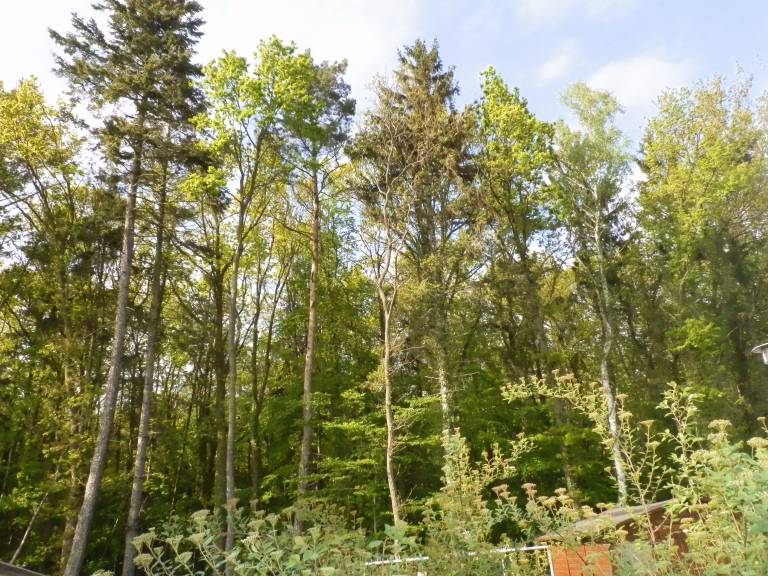 foto13