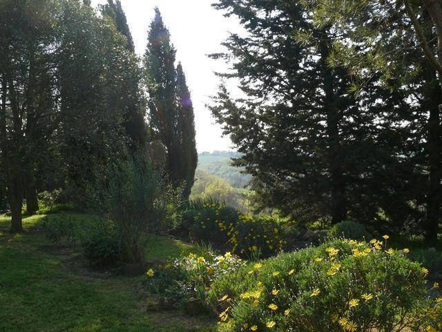 foto12