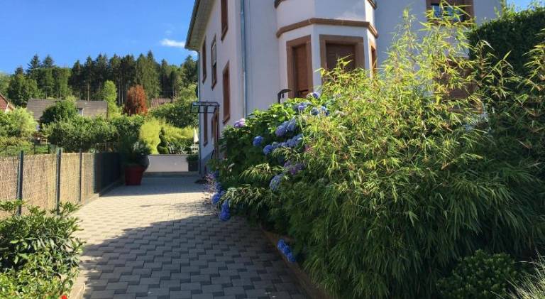 foto34