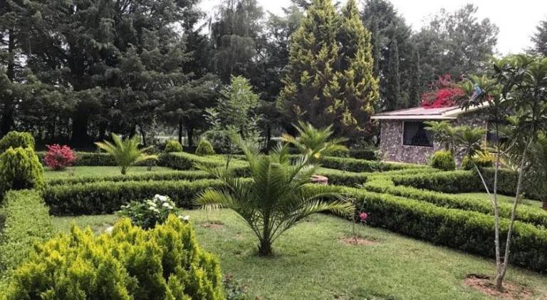 foto12