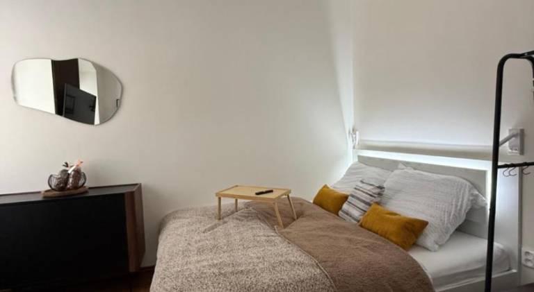 Rental apartment with 1 room for 3 persons in Brno