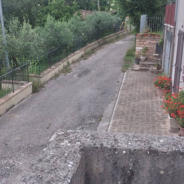 foto16